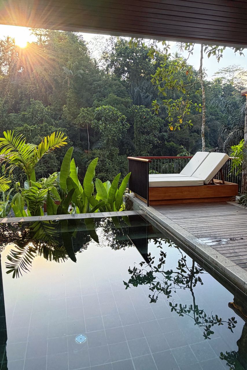 Private infinity pool overlooking the Ubud jungle at sunrise, Adiwana Alas Harum