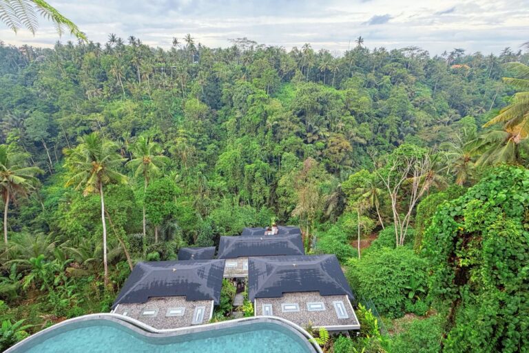 Lush jungle valley above Ubud, Bali